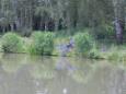 DSCN5343